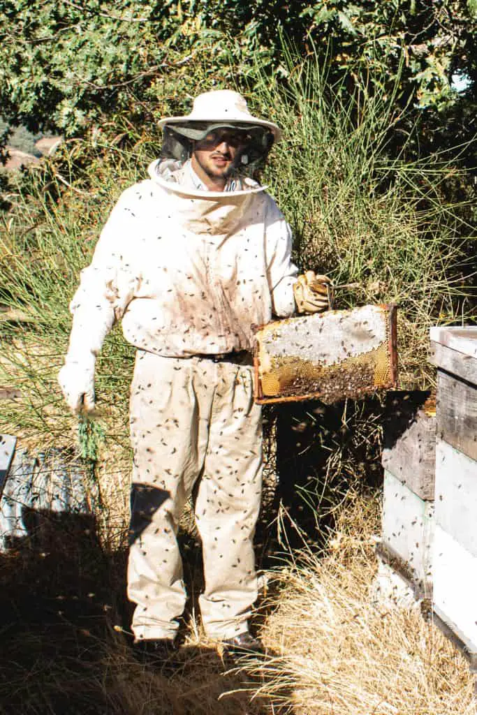 Person in a dirty beekeeping suit