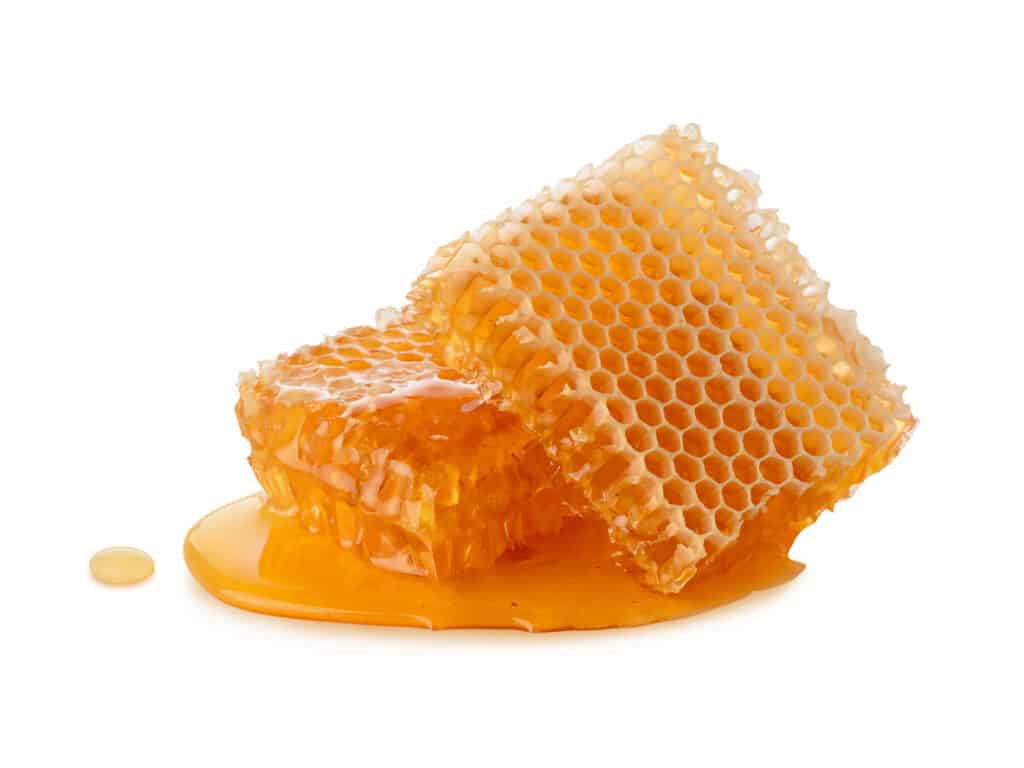 honey in honey comb