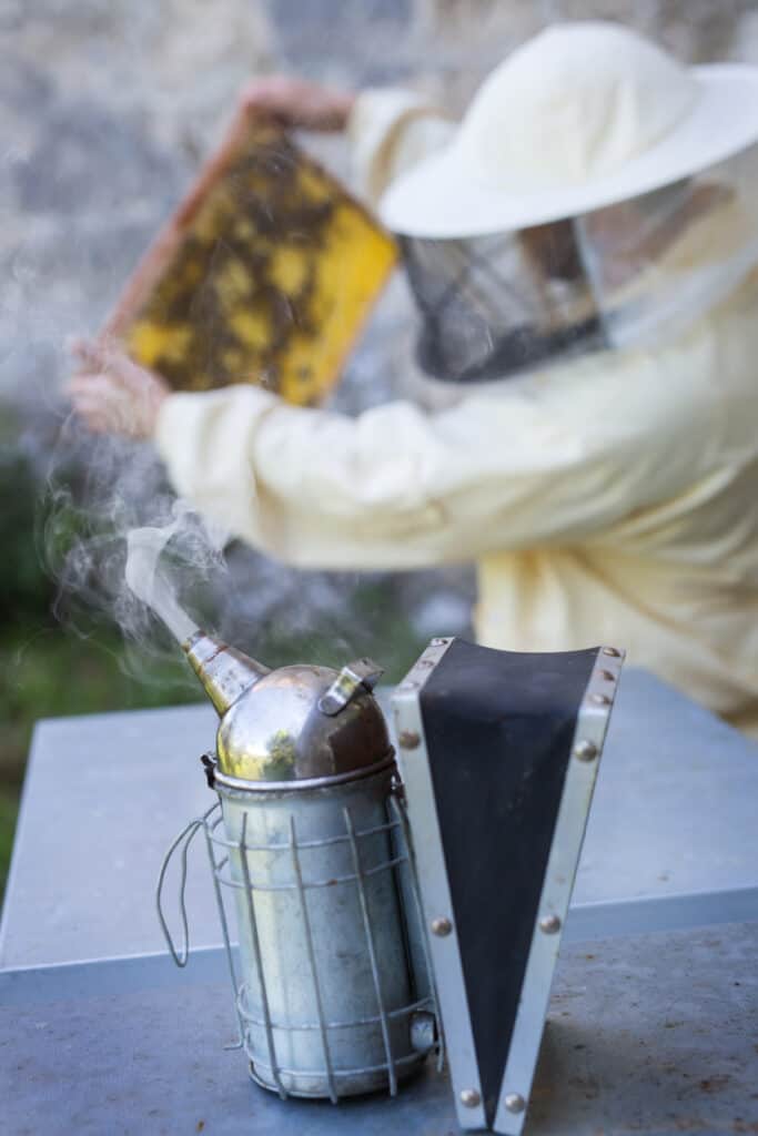 beekeeper inspecting hive while smoker sits there and smokes