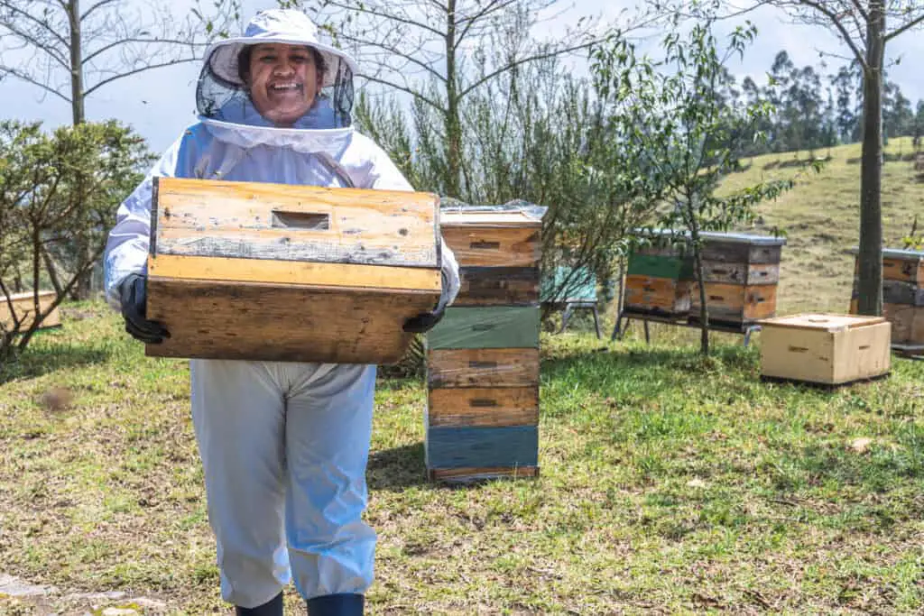 girl moving bee hive