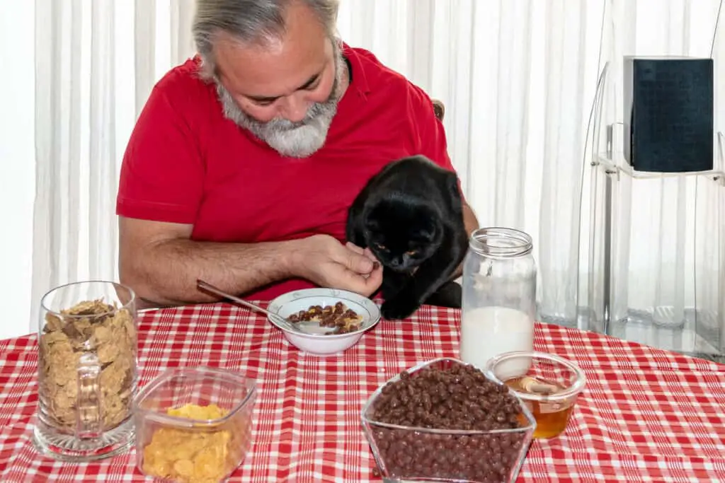 guy feeding cat honey